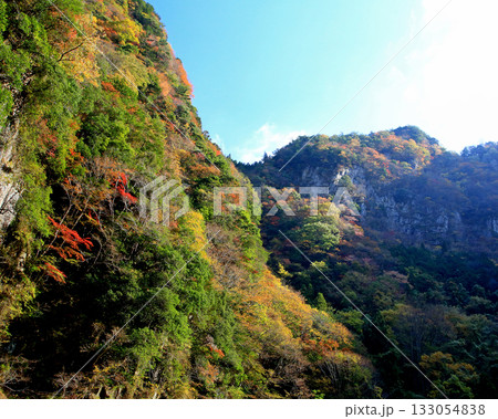 香落渓　紅葉 133054838