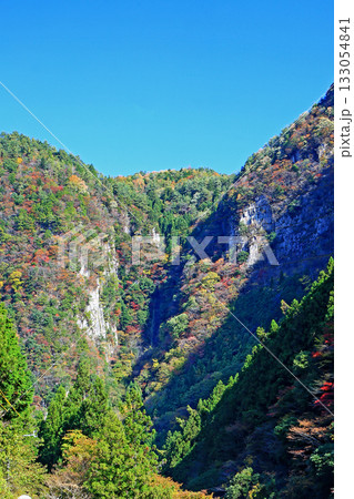 香落渓　紅葉 133054841