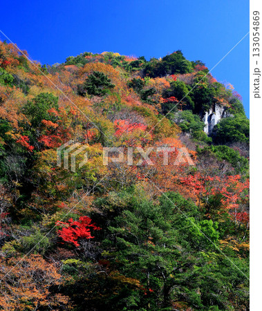 香落渓 紅葉 香落渓 紅葉 133054869