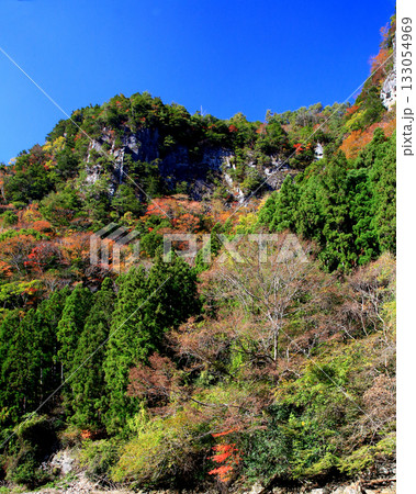 香落渓　紅葉 133054969