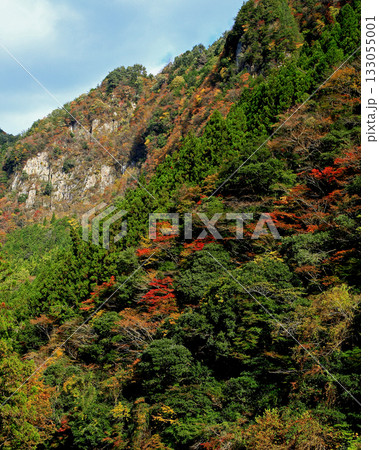 香落渓 紅葉 香落渓 紅葉 133055001