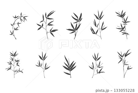 Bamboo branch silhouettes, Bamboo branch svg, Bamboo branch vector, Bamboo branch drawing. 133055228