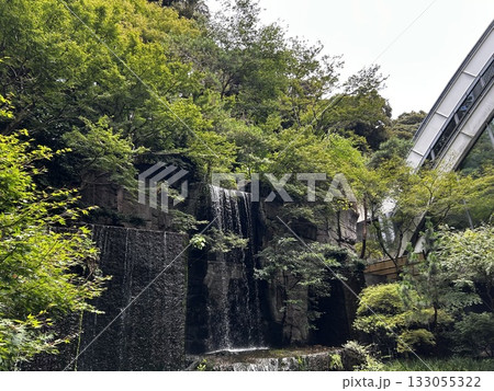 目黒雅叙園の中庭 133055322