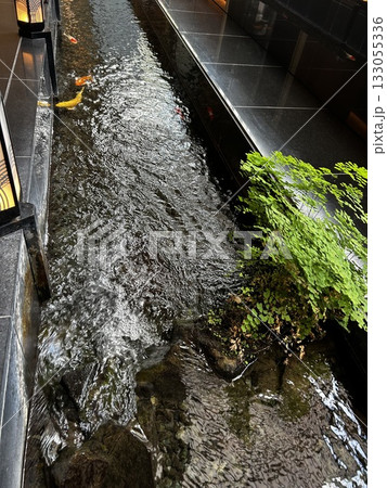 目黒雅叙園の中庭 133055336