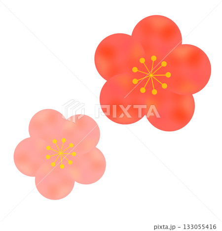 シンプルな梅の花のイラスト 133055416