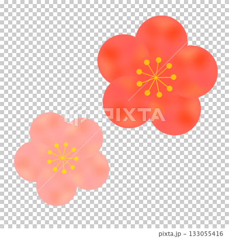シンプルな梅の花のイラスト 133055416
