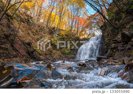 浅間大滝（秋） 133055890