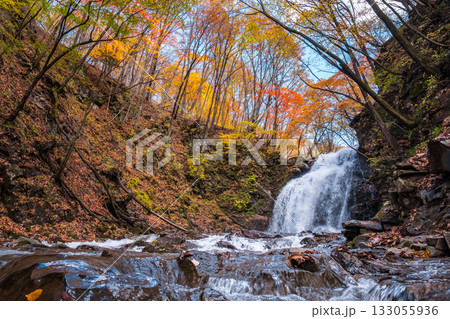 浅間大滝（秋） 133055936