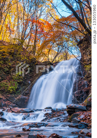 浅間大滝（秋） 133055960