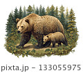 森の中を歩く親子熊のリアルなイラスト 133055975