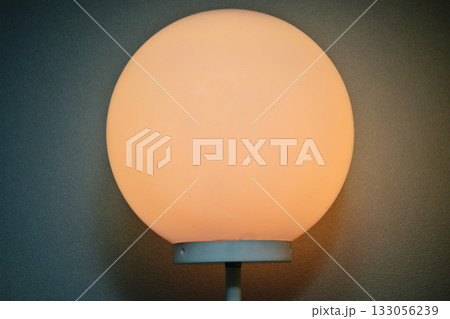 スタンドライト 133056239