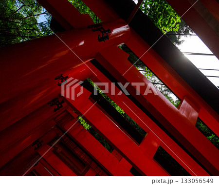 京都 日本 JAPAN 伏見稲荷神社 京都 日本 JAPAN 伏見稲荷神社 133056549