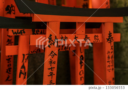 京都　日本　JAPAN　伏見稲荷神社 133056553