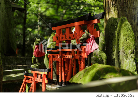 京都 日本 JAPAN 伏見稲荷神社 京都 日本 JAPAN 伏見稲荷神社 133056555