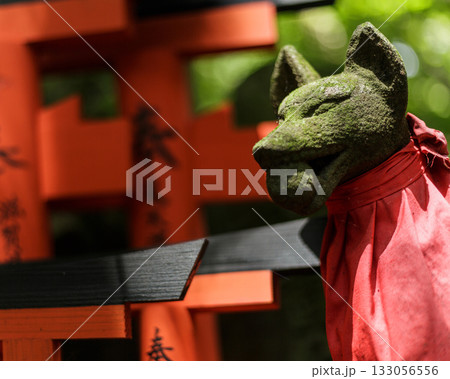 京都 日本 JAPAN 伏見稲荷神社 京都 日本 JAPAN 伏見稲荷神社 133056556