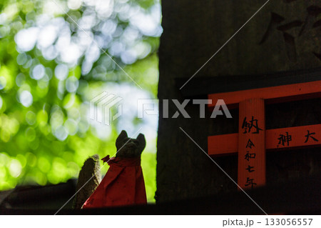 京都 日本 JAPAN 伏見稲荷神社 京都 日本 JAPAN 伏見稲荷神社 133056557