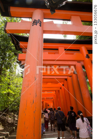 京都 日本 JAPAN 伏見稲荷神社 京都 日本 JAPAN 伏見稲荷神社 133056676