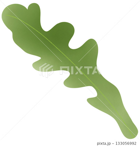 Green salad leaves 133056992