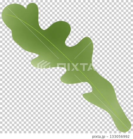 Green salad leaves 133056992