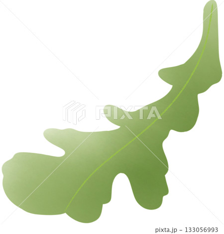 Green salad leaves Green salad leaves 133056993