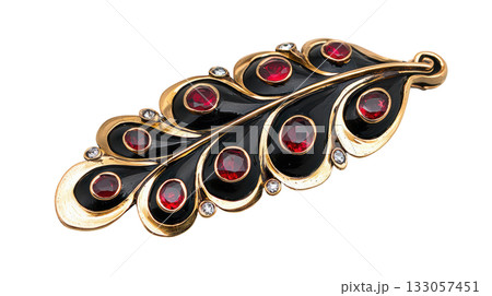 Elegant peacock feather brooch jewelry with red ruby. classic black and gold design for luxurious, precious look 133057451