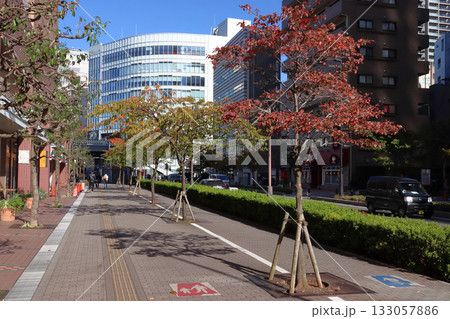 晩秋の川口駅東口:善光寺通りにて(埼玉県川口市) 晩秋の川口駅東口:善光寺通りにて(埼玉県川口市) 133057886