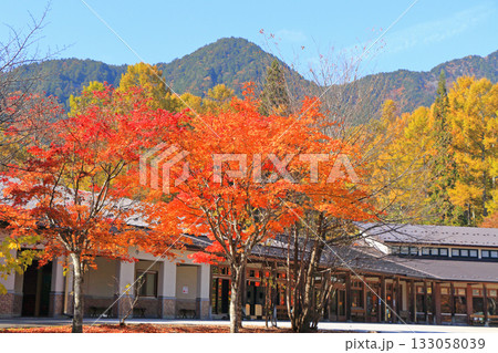 秋の国営アルプスあづみの公園 大町・松川地区 秋の国営アルプスあづみの公園 大町・松川地区 133058039