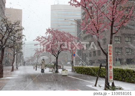 春シーズンに降雪中の川口駅東口：善光寺通りにて（埼玉県川口市） 133058101