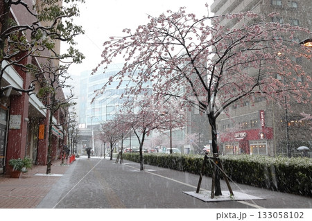 春シーズンに降雪中の川口駅東口：善光寺通りにて（埼玉県川口市） 133058102