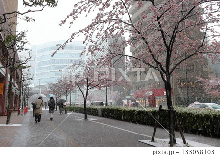 春シーズンに降雪中の川口駅東口：善光寺通りにて（埼玉県川口市） 133058103