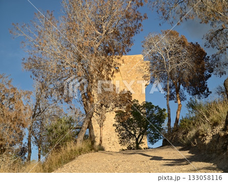 majestic stone structure nestled above dense pine trees with warm sunlight illuminating it majestic stone structure nestled above dense pine trees with warm sunlight illuminating it 133058116