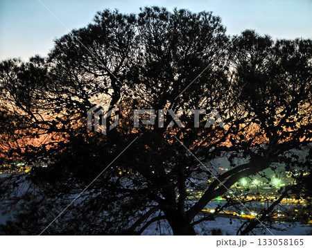 serene coastal view with glowing reflections, tranquil seaside silhouette with vibrant orange 133058165