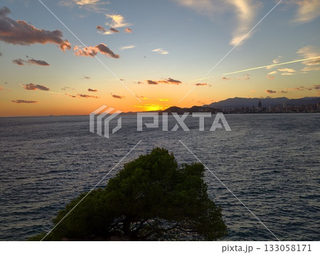 evening scene with lone pine, peaceful coastal landscape featuring lone pine and colorful evening 133058171