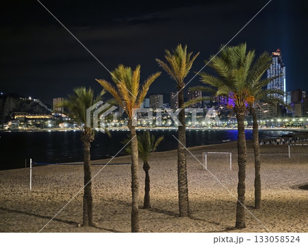 tropical cityscape imagery, beachfront silhouettes combined with neon city illumination for branding 133058524