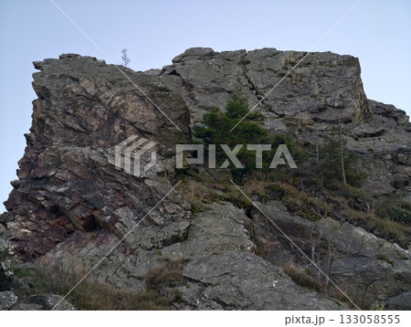 rocky ledges with pine growths, rugged cliff face featuring vegetation and dramatic shadows 133058555