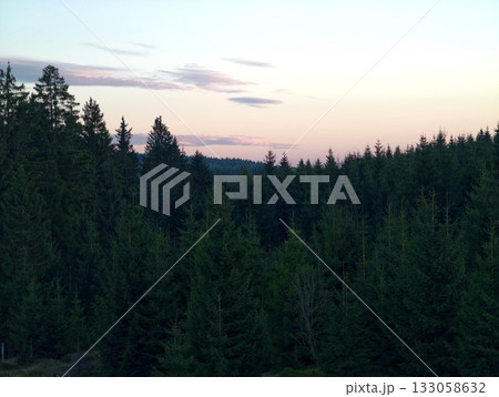 serene forest twilight, gentle shades over quiet woods, tranquil pine forest fading into colorful serene forest twilight, gentle shades over quiet woods, tranquil pine forest fading into colorful 133058632