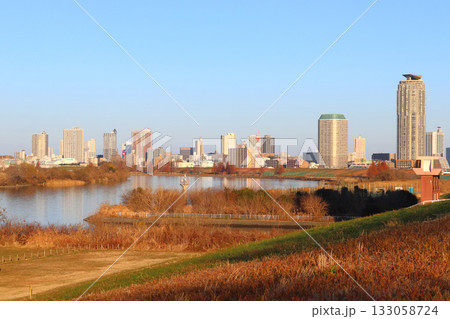 冬晴れの川口市中央地区の高層マンション群 冬晴れの川口市中央地区の高層マンション群 133058724