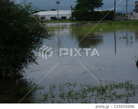平成24年九州豪雨 133058886