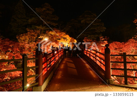 弥彦公園もみじ谷2025 133059115