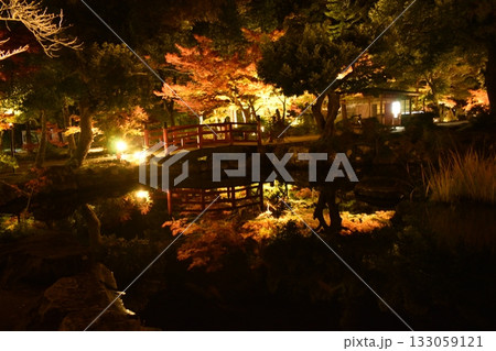 弥彦公園もみじ谷2025 133059121