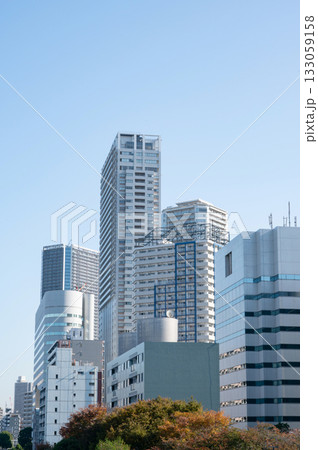 東京 勝どきのタワマンの風景 133059158
