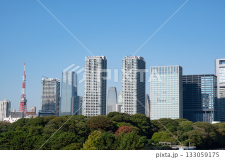 築地大橋から見た浜松町方面の風景 築地大橋から見た浜松町方面の風景 133059175