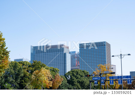 紅葉する樹木と丸の内の高層ビル 紅葉する樹木と丸の内の高層ビル 133059201