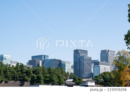 皇居桜田門と丸の内の高層ビル群 皇居桜田門と丸の内の高層ビル群 133059206