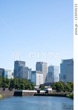 皇居桜田門と丸の内の高層ビル群 皇居桜田門と丸の内の高層ビル群 133059215
