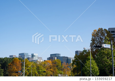 紅葉する街路樹と丸の内の高層ビル群の風景 133059217