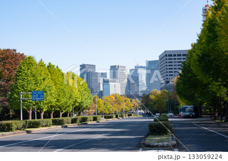 紅葉する街路樹と丸の内の高層ビル群の風景 紅葉する街路樹と丸の内の高層ビル群の風景 133059224