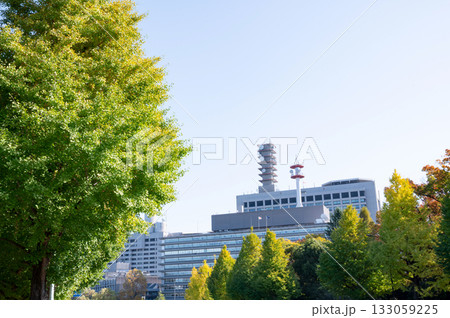 紅葉する街路樹と官庁街の高層ビルの風景 133059225