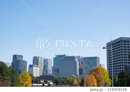 皇居桜田門と紅葉する街路樹と丸の内の高層ビル群の風景 皇居桜田門と紅葉する街路樹と丸の内の高層ビル群の風景 133059226