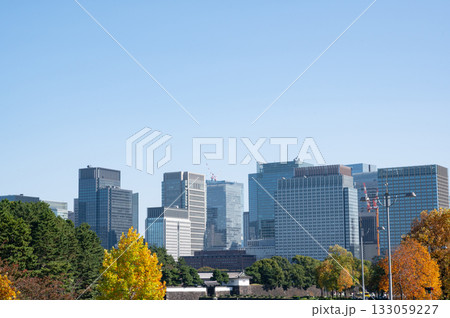 皇居桜田門と紅葉する街路樹と丸の内の高層ビル群の風景 皇居桜田門と紅葉する街路樹と丸の内の高層ビル群の風景 133059227